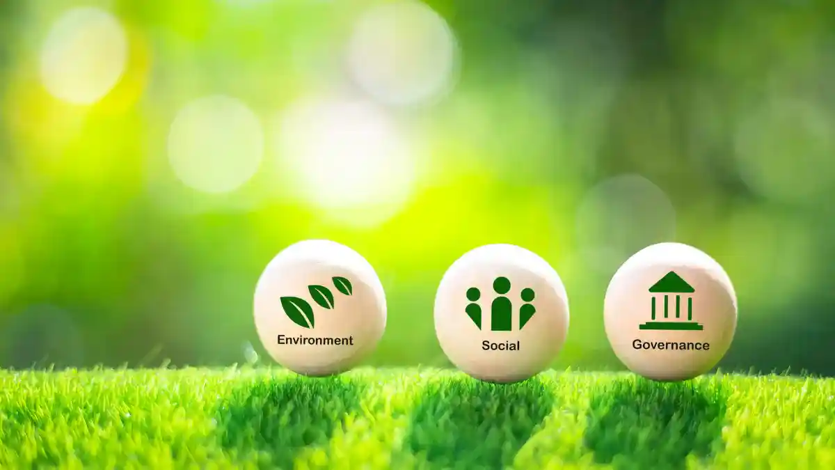 Qual a importância do meio ambiente na empresa: Sustentabilidade e lucro